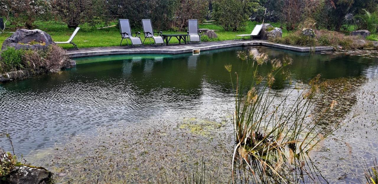 Quinta Do Bom Despacho Ponta Delgada Extérieur photo