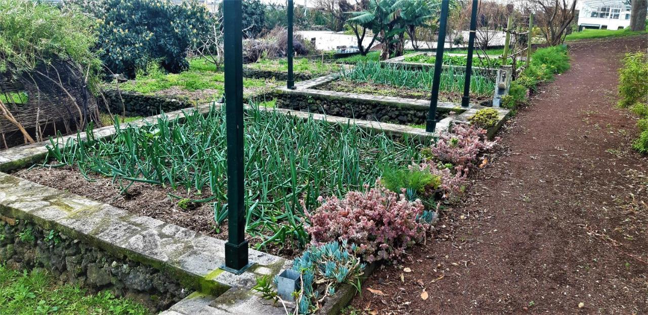 Quinta Do Bom Despacho Ponta Delgada Extérieur photo